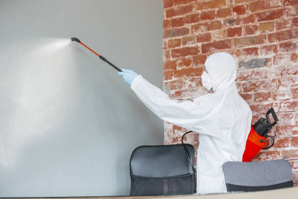 Best Residential Mold Inspection & Testing  in Madison, IL