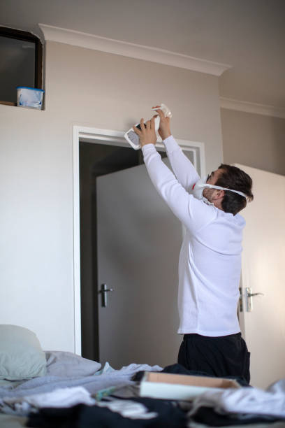  Madison, IL Mold Removal Pros