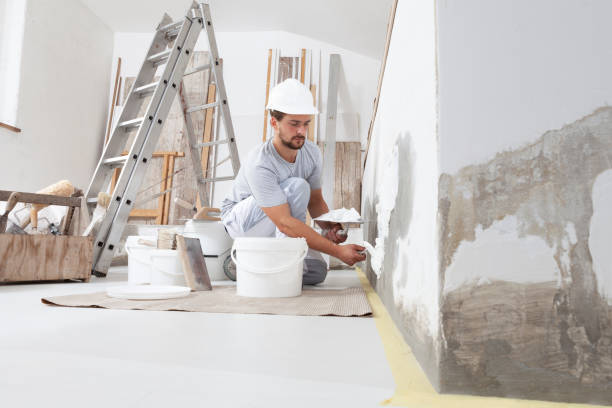Best Real Estate Mold Inspection  in Madison, IL