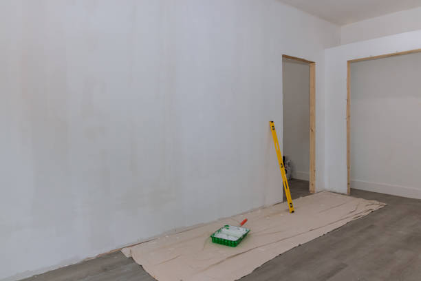 Best Mold Removal for HVAC Installations  in Madison, IL