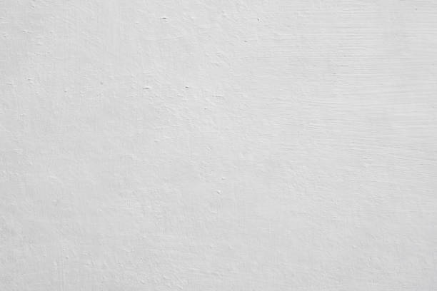 Best Environmental Consulting for Mold Prevention  in Madison, IL