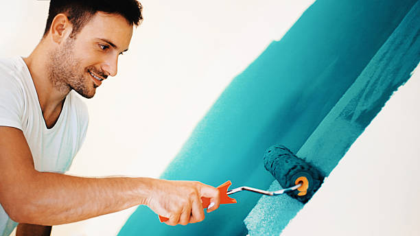 Best Mold Damage Restoration  in Madison, IL