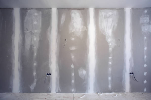 Professional Mold Removal in Madison, IL